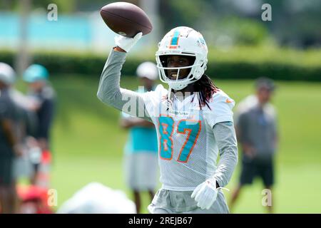 Miami Dolphins wide receiver Daewood Davis (87) catches a pass