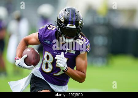 Baltimore Ravens wide receiver Shemar Bridges (85) during the first half of  an NFL preseason football game against the Arizona Cardinals, Sunday, Aug.  21, 2022, in Glendale, Ariz. (AP Photo/Rick Scuteri Stock