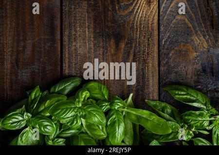 Fresh organic basil leaves on a dark wooden background Stock Photo