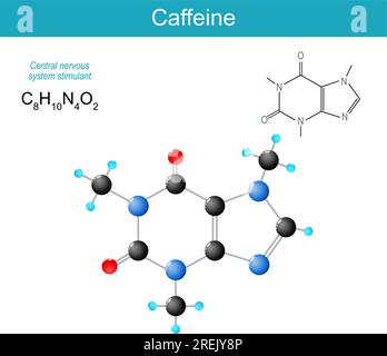 caffeine molecule. molecular chemical structural formula and model of central nervous system CNS stimulant of the methylxanthine class. Vector Stock Vector