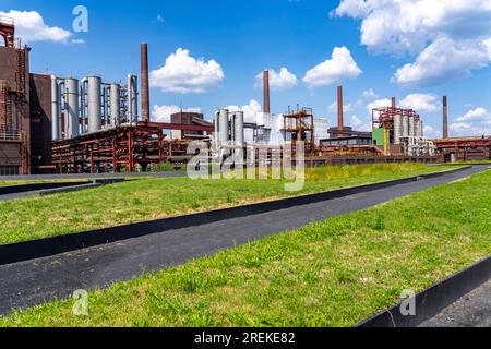 Nature at the Zollverein coking plant, Zollverein colliery, flowering meadows between belt bridges, chimneys, chemical plants, coke oven batteries, NR Stock Photo