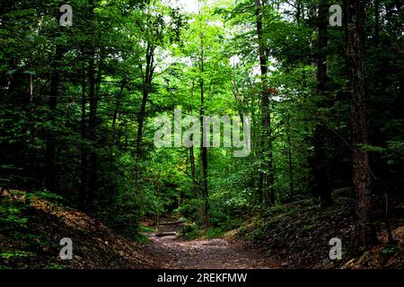 Path at Talcott Mountain State Park Stock Photo