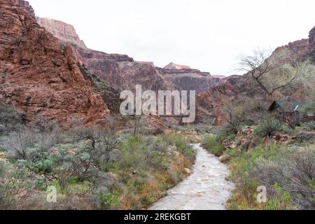 A peaceful creek flows by Bright Angel Campground in the Grand Canyon. Stock Photo