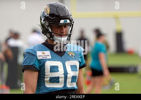 Jacksonville Jaguars wide receiver Oliver Martin (88) plays against the Detroit  Lions during an preseason NFL football game in Detroit, Saturday, Aug. 19,  2023. (AP Photo/Paul Sancya Stock Photo - Alamy