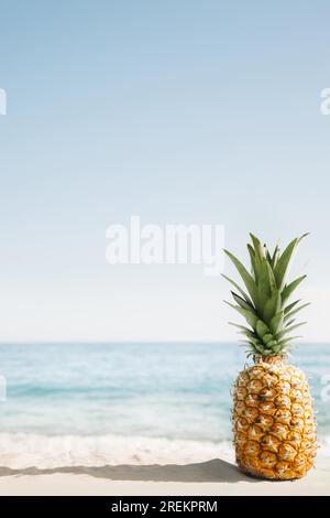 Beach background with pineapple copyspace. Resolution and high quality beautiful photo Stock Photo