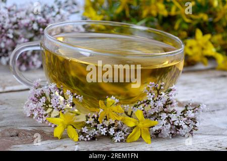 Cup of tea with valerian and St. John's wort (Valeriana officinalis) (Hypericum perforatum), calming tea, valerian tea, St. John's wort tea Stock Photo