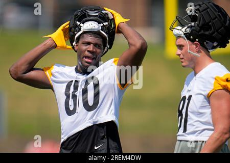 ATLANTA, GA Ð AUGUST 24: Pittsburgh tight end Pat Freiermuth (88