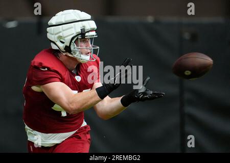 Arizona Cardinals tight end Joel Honigford (42) in action against the  Minnesota Vikings during the first half of an NFL preseason football game  Saturday, Aug. 26, 2023 in Minneapolis. (AP Photo/Stacy Bengs