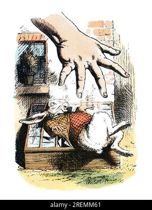 Giant Hand reaching for white rabbit Alice in Wonderland colored Tenniel illustration Stock Photo