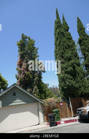 Los Angeles, California, USA 28th July 2023 Actor William Demarest Former Home/house at 2235 Primrose Avenue on July 28, 2023 in Los Angeles, California, USA. Photo by Barry King/Alamy Stock Photo Stock Photo