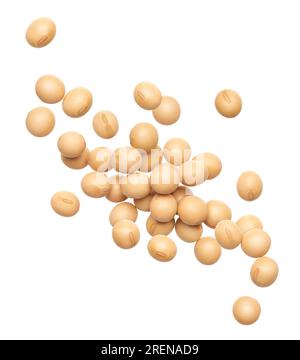Soybeans splash isolated on white background Stock Photo