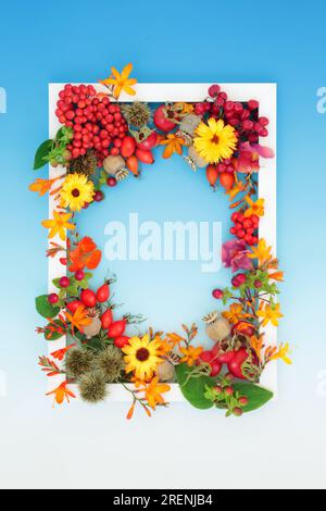 Harvest festival Thanksgiving Autumn nature fruit, flower, nuts background border with white frame on gradient blue. Festive Fall floral concept. Stock Photo