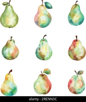 vector illustration of a set of pears isolated on white background. can ...