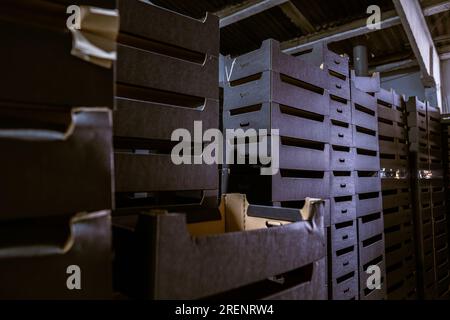Assembled black cardboard boxes in warehouse. Fruit trays. Packaging of finished products in industrial production. Stock Photo