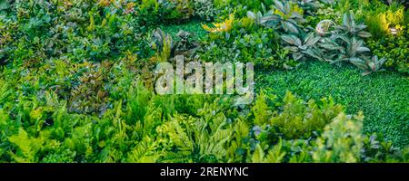 green foliage fake plastic nature plant leaf for interior decoration wide panorama for background Stock Photo