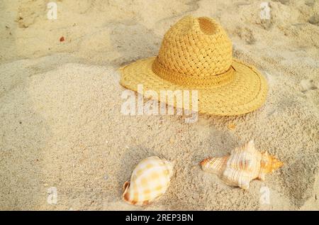 Straw hat on the sandy beach with two types of beautiful natural seashells Stock Photo