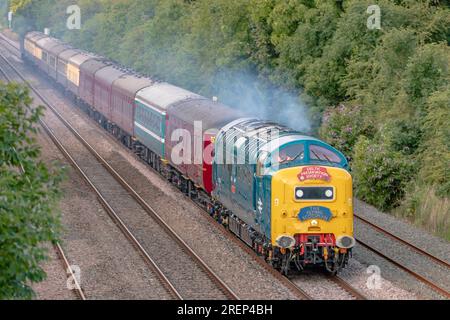 Sunnyhill Derby United Kingdom 29 July 2023: A vintage diesel express locomotive Class 55 Deltic on a Special excursion train to London Kings Croiss Stock Photo