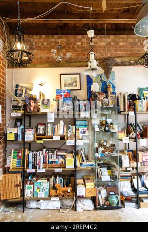 Vintage second hand books on shelves at the North Laine Bazaar flea market, Brighton, East Sussex, England Stock Photo