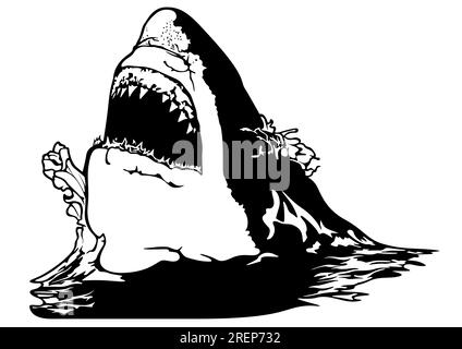 Drawing of a Great White Shark with Jaws Stock Vector