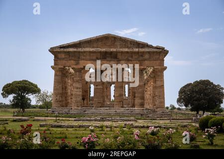 Paestum Archaeological Park. beautiful historical ruins of temples from Roman times, Campania, Salerno, Italy Stock Photo