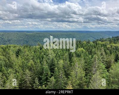 Bad Wildbad, Germany. 29th July, 2023. View over the treetops of the Sommerberg in Bad Wildbad towards the Northern Scharzwald. Credit: Marco Krefting/dpa/Alamy Live News Stock Photo