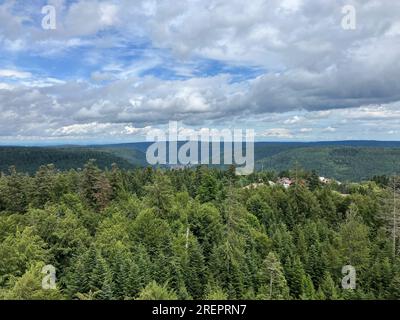 Bad Wildbad, Germany. 29th July, 2023. View over the treetops of the Sommerberg in Bad Wildbad. Calmbach, a district of Bad Wildbad, can be seen in the background. Credit: Marco Krefting/dpa/Alamy Live News Stock Photo