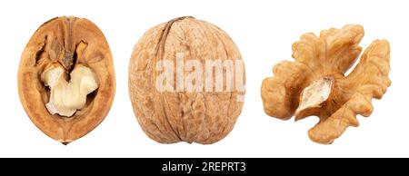 Set of three walnuts in shell and without. Isolated on white background. File contains clipping path Stock Photo