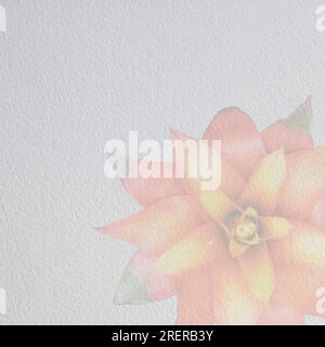 Photos of flowers with a superimposed texture on top. Wallpaper. Square frame. vintage wallpaper background. Red Guzmania Stock Photo
