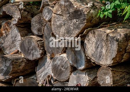Large pile of seasoned logs for firewood, stacked neatly outdoors Stock Photo