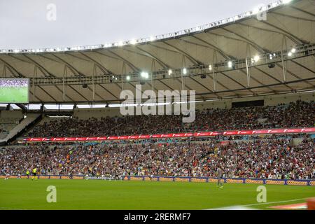 Rio De Janeiro, Brazil. 29th July, 2023. Fans during Fluminense x Santos held at the Maracanã Stadium for the 17th round of the 2023 Brazilian Championship, Serie A, this Saturday afternoon (29), in Rio de Janeiro, RJ. Credit: Celso Pupo/FotoArena/Alamy Live News Stock Photo