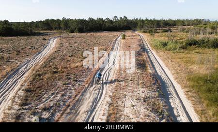 Aerial drone shot view of one enduro motorcycle drive through path or sandy trail on pine trees field during off road training in countryside. Adrenal Stock Photo