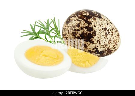 boiled quail egg isolated on white background with full depth of field Stock Photo