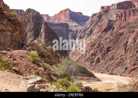 A lone hiker on a trail overlooking the Colorado River in the Grand Canyon. Stock Photo