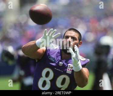 Baltimore Ravens tight end Mark Andrews (89) runs onto the field before an  NFL football game, Sunday, Dec. 11, 2022, in Pittsburgh, PA. (AP Photo/Matt  Durisko Stock Photo - Alamy