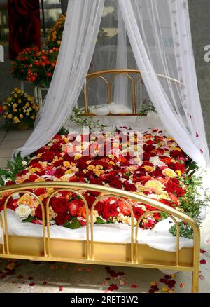 Bedded on roses Bed planted with rose petals, bed of roses Bedded on roses Bed planted with rose petals, bed of roses
