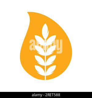 wheat grain drop shape vector logo design. Stock Vector