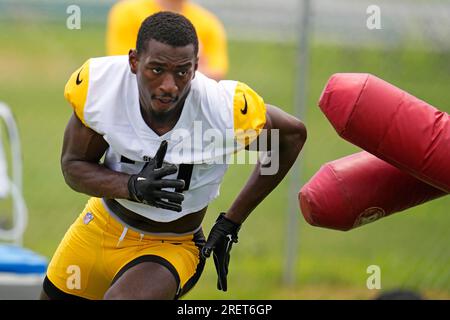 Steelers WR Hakeem Butler's Impressive Path To 2023 Training Camp