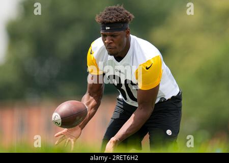 Latrobe, USA. 30th July, 2023. July 30th, 2023: Darnell Washington #80  during the Pittsburgh Steelers training camp in Latrobe, PA. Jason  Pohuski/CSM/Sipa USA(Credit Image: © Jason Pohuski/Cal Sport Media/Sipa  USA) Credit: Sipa