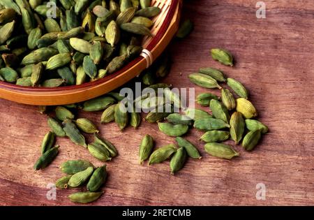 Cardamom (Elettaria cardamomum) in shell, seed capsules, seed capsule Stock Photo