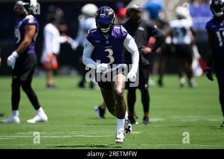 Baltimore Ravens wide receiver Odell Beckham Jr. runs a drill during NFL  football practice Tuesday, June 13, 2023, in Owings Mills, Md. (AP  Photo/Gail Burton Stock Photo - Alamy