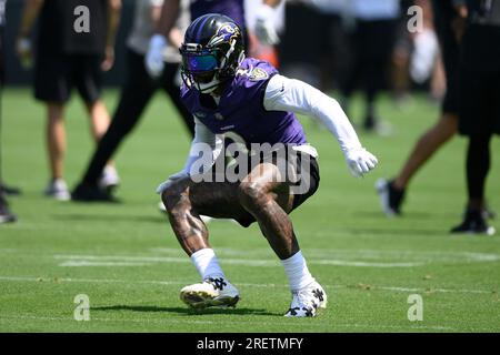 Baltimore Ravens running back Justice Hill works out during the team's NFL  football training camp, Thursday, July 27, 2023, in Owings Mills, Md. (AP  Photo/Julio Cortez Stock Photo - Alamy