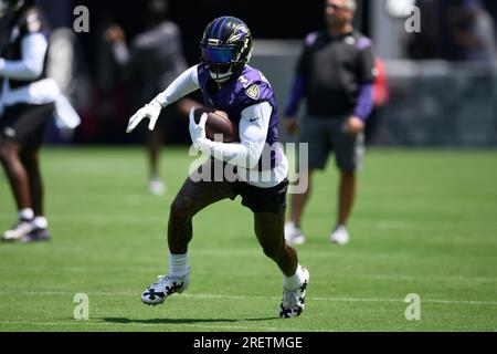 Footballs and equipment are seen at the Baltimore Ravens NFL football  training camp, Saturday, July 29, 2023, in Baltimore. (AP Photo/Nick Wass  Stock Photo - Alamy