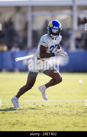 Los Angeles Rams safety Quentin Lake smiles on the field during