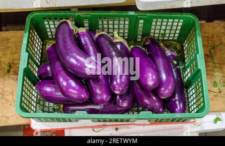 Fresh aubergines on display at a stall in the Chinatown Complex wet market, Chinatown, Singapore Stock Photo