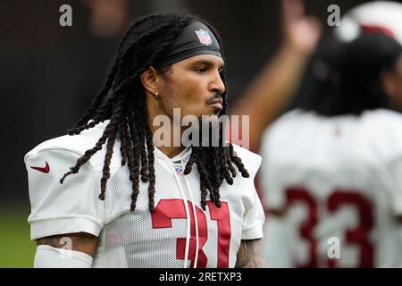 Arizona Cardinals cornerback Antonio Hamilton Sr., right, celebrates after  intercepting a pass with safety Andre Chachere during the second half of an  NFL preseason football game against the Denver Broncos in Glendale