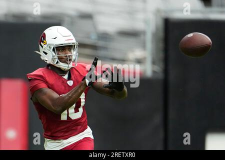 Arizona Cardinals wide receiver Davion Davis (10) celebrates with Arizona  Cardinals guard Lecitus Smith (54) after Davis scored a touchdown against  the Minnesota Vikings during an NFL preseason football game Saturday, Aug.