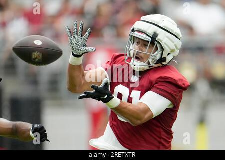 Arizona Cardinals tight end Noah Togiai (81) runs after the catch