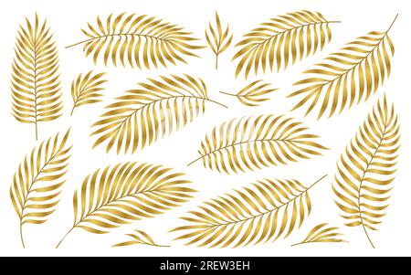 Set of golden palm tree leaves isolated on black transparent background ...