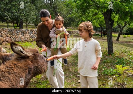 Content young ethnic mother and kids feeding adorable donkeys with ripe carrots pasturing on grassy meadow in summer countryside Stock Photo