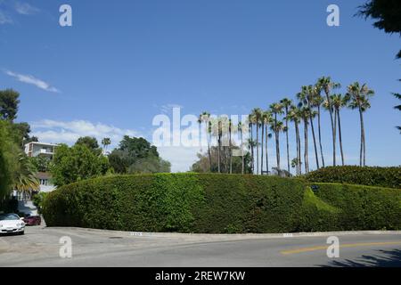 TOMMY DORSEY US bandleader Stock Photo - Alamy